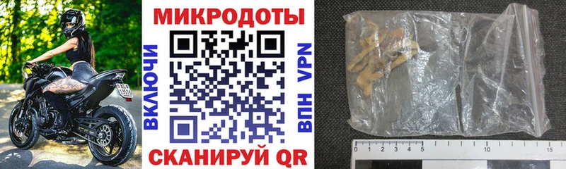 как найти закладки  Могоча  Псилоцибиновые грибы Psilocybine cubensis 